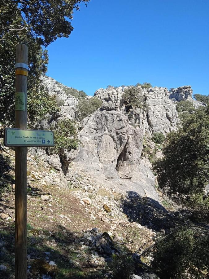 Pension La Sierra Кортес-де-ла-Фронтера Экстерьер фото