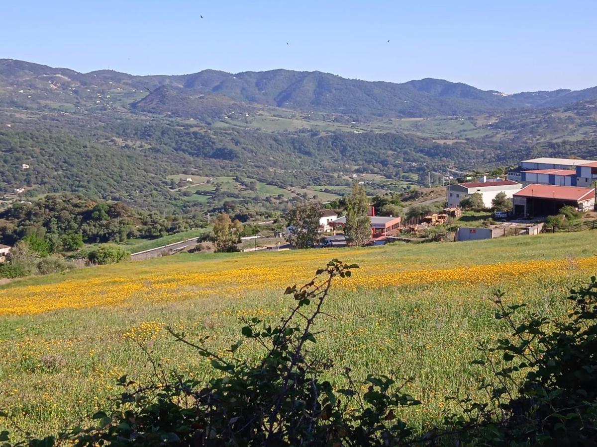 Pension La Sierra Кортес-де-ла-Фронтера Экстерьер фото
